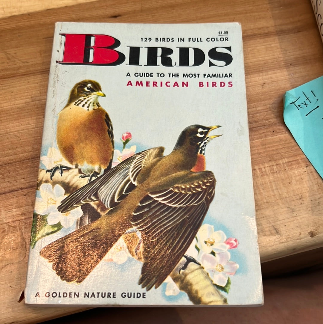 Birds