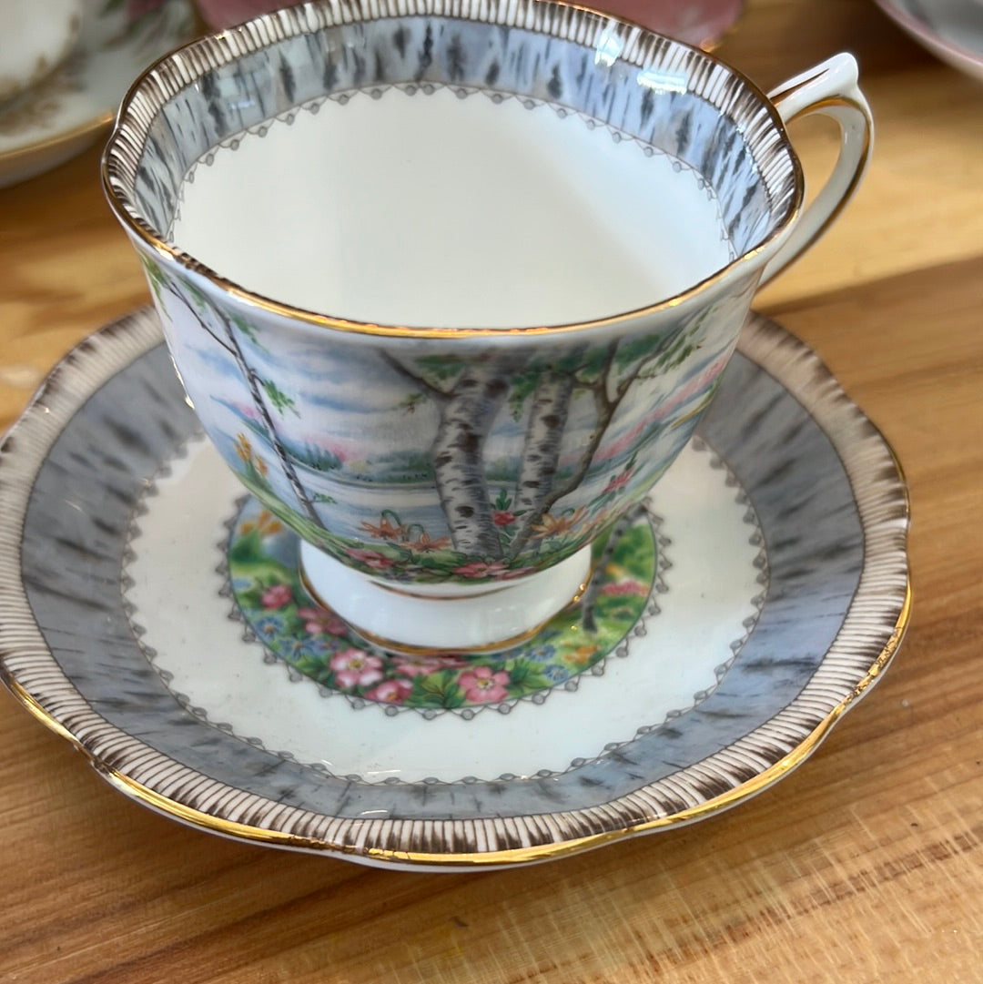 Teacup/Vintage Royal Albert Silver Birch Teacup and Saucer, 1930s