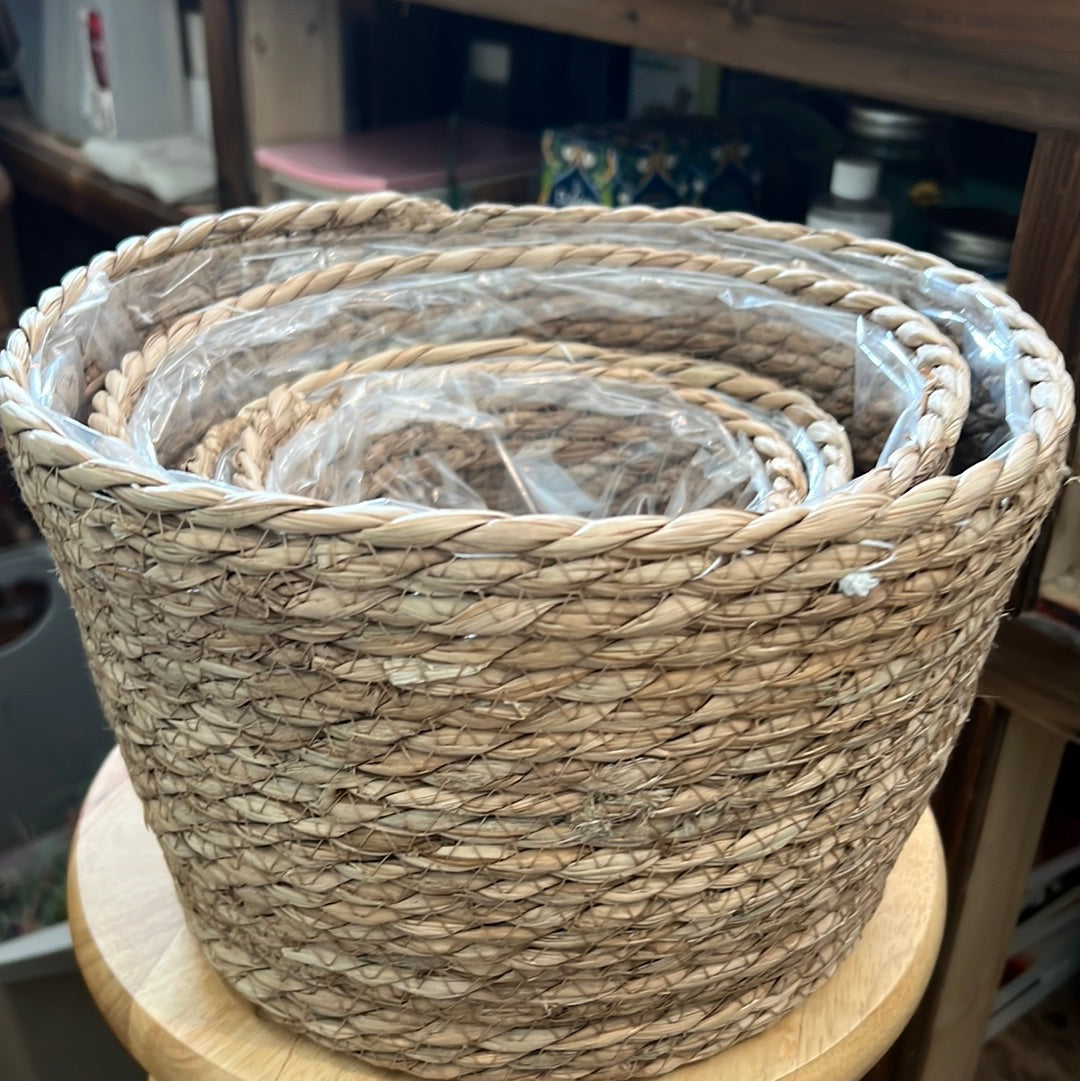 Sea grass Planter