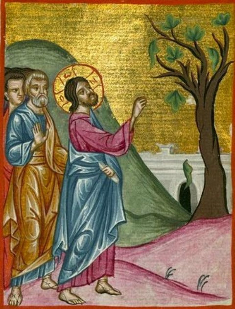 Symbolism: The Fig Tree