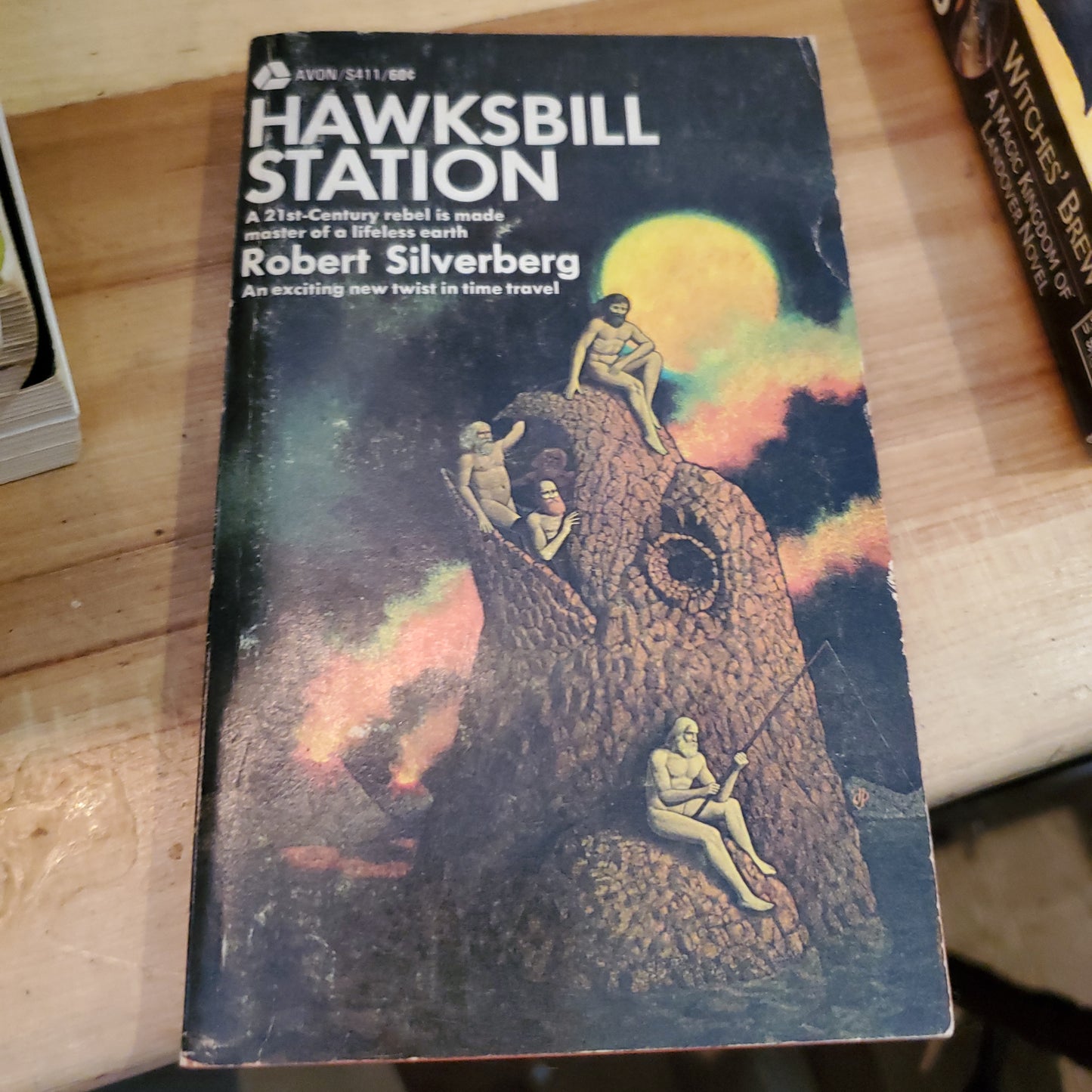 Hawksbill Station